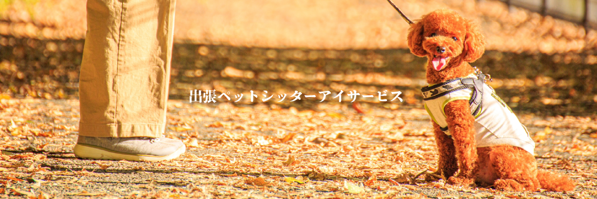 出張ペットシッター　アイサービス｜大阪府門真市 寝屋川市 四條畷市 大東市,