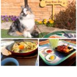 Thumbnail of related posts 147