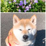 Thumbnail of related posts 037