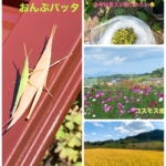 Thumbnail of post image 023