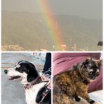 Thumbnail of related posts 147