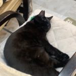 Thumbnail of related posts 070