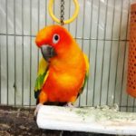 Thumbnail of related posts 165