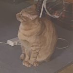 Thumbnail of related posts 190