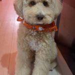 Thumbnail of post image 118