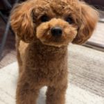 Thumbnail of post image 131