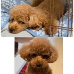 Thumbnail of post image 198