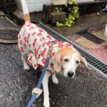 Thumbnail of post image 108